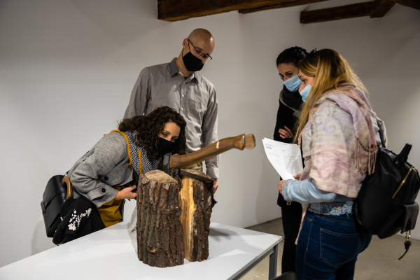 ROOMS - ALEXANDRU ANTIK SÁNDOR, LORENA COCIONI, MAJE MELLIN, BERNICE NAUTA