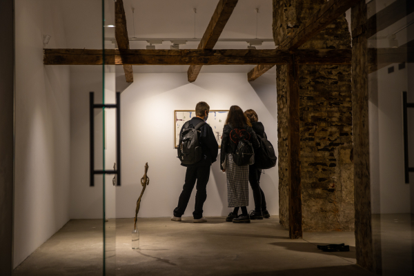 ROOMS - ALEXANDRU ANTIK SÁNDOR, LORENA COCIONI, MAJE MELLIN, BERNICE NAUTA