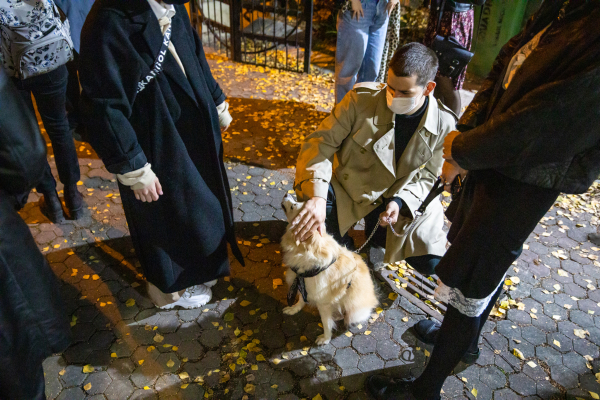 ROOMS - ALEXANDRU ANTIK SÁNDOR, LORENA COCIONI, MAJE MELLIN, BERNICE NAUTA