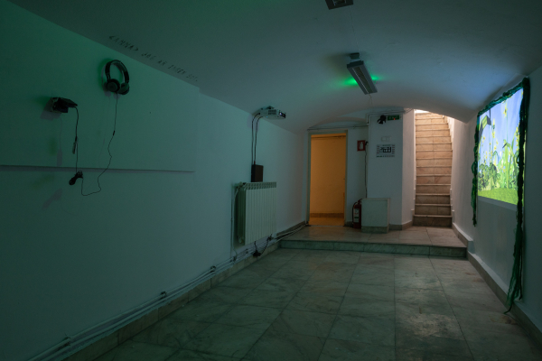 MILLIONS OF RUINS - ADRIAN GANEA, THEA LAZĂR, FLAVIU ROGOJAN