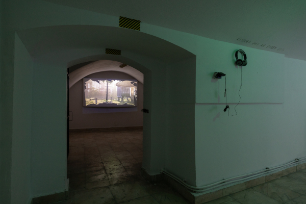 MILLIONS OF RUINS - ADRIAN GANEA, THEA LAZĂR, FLAVIU ROGOJAN