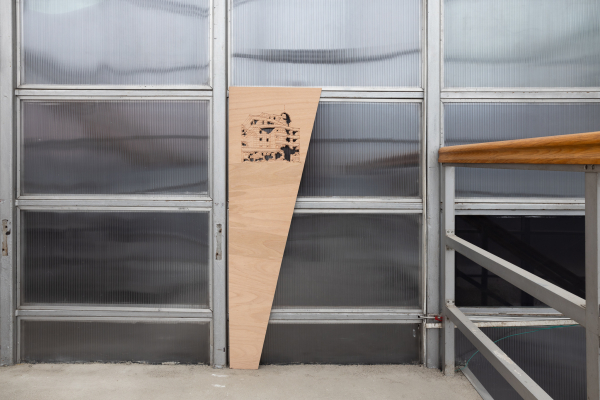 MILLIONS OF RUINS - ADRIAN GANEA, THEA LAZĂR, FLAVIU ROGOJAN