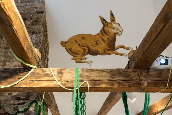 MILLIONS OF RUINS - ADRIAN GANEA, THEA LAZĂR, FLAVIU ROGOJAN