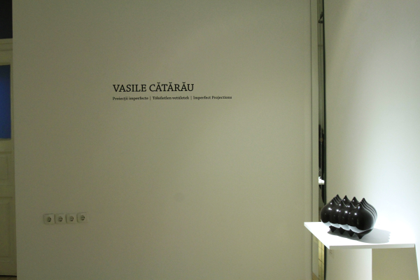 VASILE CĂTĂRĂU - IMPERFECT PROJECTIONS