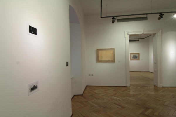 DIANA OȚET - THOUGHT SEEDS