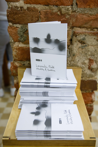 LAURENȚIU RUȚĂ - FLUIDITY OF BODIES