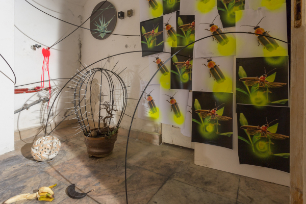 DING A DING DANG MY DANG A LONG LING LONG - DAN BEUDEAN | GEORGE CRINGASU | MIHAELA BUHAEV