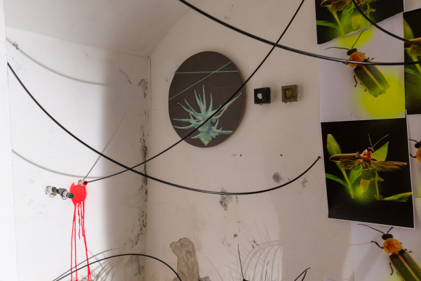 DING A DING DANG MY DANG A LONG LING LONG - DAN BEUDEAN | GEORGE CRINGASU | MIHAELA BUHAEV