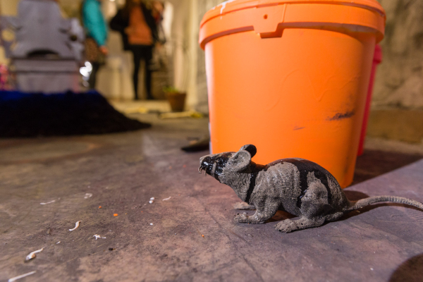 DING A DING DANG MY DANG A LONG LING LONG - DAN BEUDEAN | GEORGE CRINGASU | MIHAELA BUHAEV