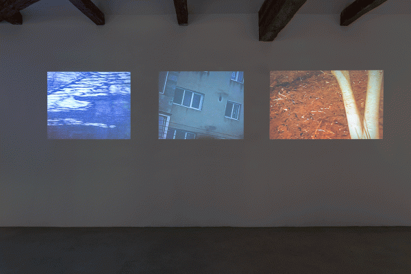 ENTRY #1: ALEXANDRA MEREUȚI - APPARATUS