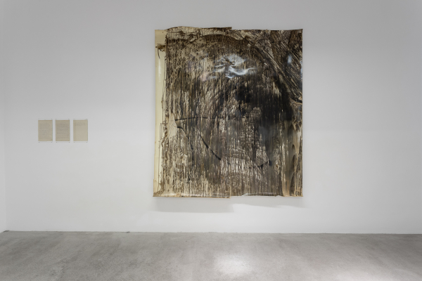 LAURENȚIU RUȚĂ - FLUIDITY OF BODIES