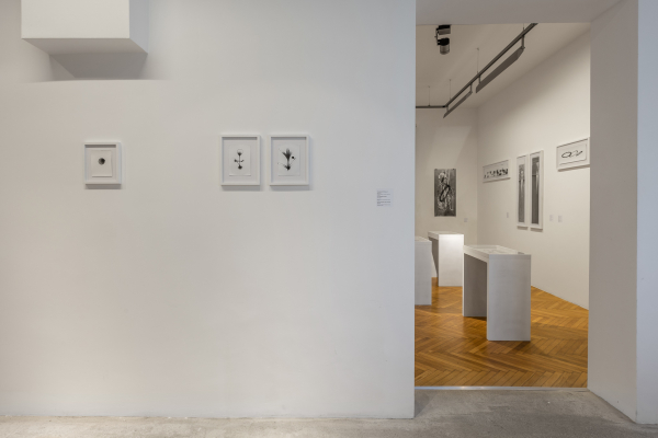 LAURENȚIU RUȚĂ - FLUIDITY OF BODIES