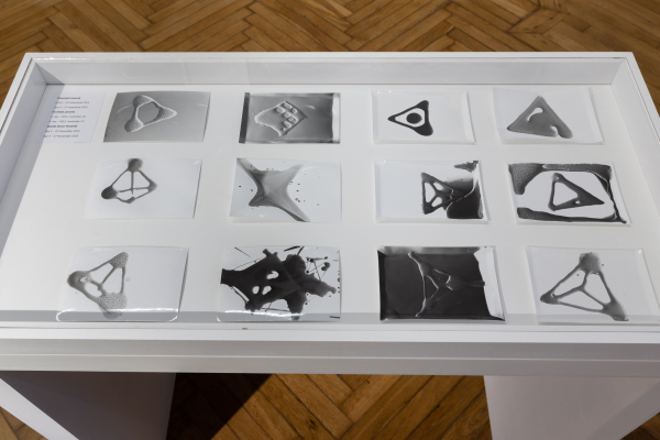 LAURENȚIU RUȚĂ - FLUIDITY OF BODIES