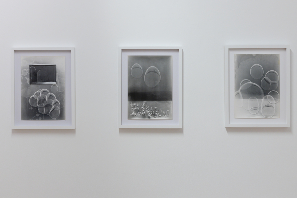 LAURENȚIU RUȚĂ - FLUIDITY OF BODIES