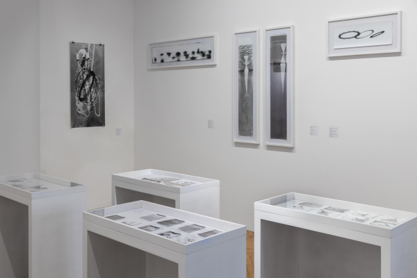 LAURENȚIU RUȚĂ - FLUIDITY OF BODIES