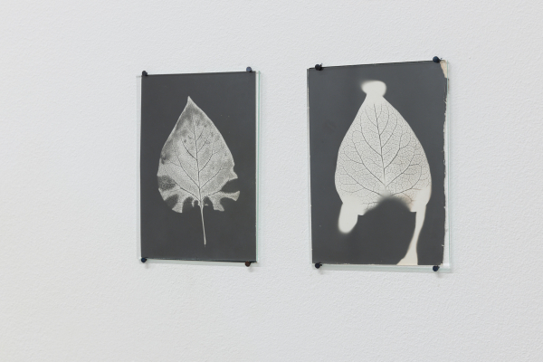 LAURENȚIU RUȚĂ - FLUIDITY OF BODIES