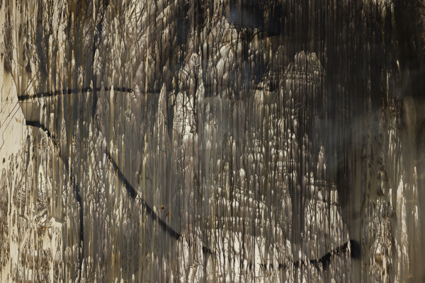 LAURENȚIU RUȚĂ - FLUIDITY OF BODIES