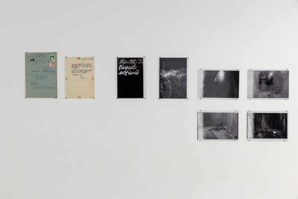 LAURENȚIU RUȚĂ - FLUIDITY OF BODIES