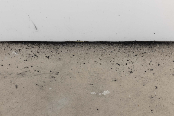 TUDOR OLTEAN - IT STARTED WITH A DRAWING