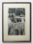 GY. SZABÓ Béla (1905-1985) - Stufăriș în Mestecănișul de la Reci, 1963