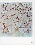 Viorel MĂRGINEAN (1933-2022) - Fruit, 1975